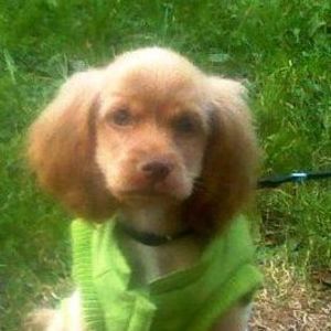 Meet your Posher, Douglas